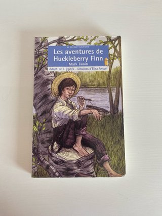 Les aventures de Huckleberry Finn