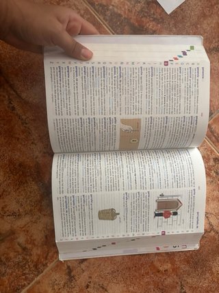 Diccionario básico de la lengua Española primaria