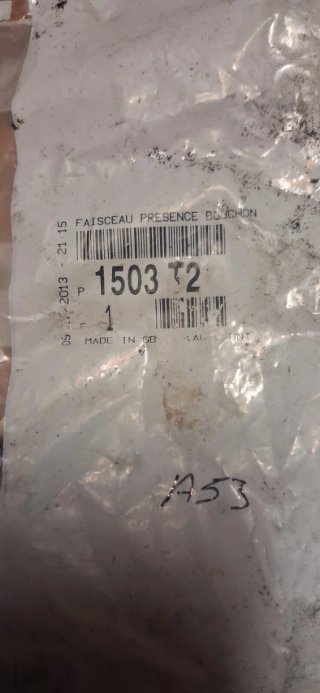 Recambio sensor combustible Peugeot Citroën