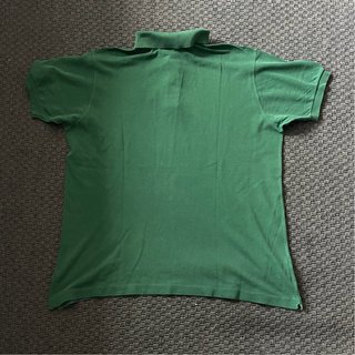 Camisa Lacoste Verde