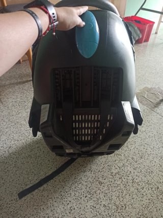 Silla de coche bebéconfort