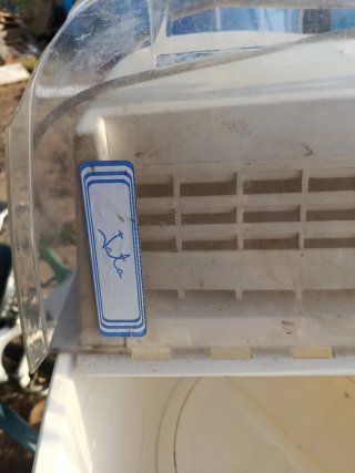 Mini lavadora WELCOME 80L