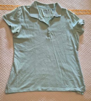 Lote 2 Polos Talla XL Verde y Celeste