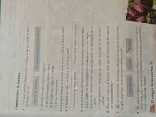 Lengua 3 Primaria : Operación Mundo