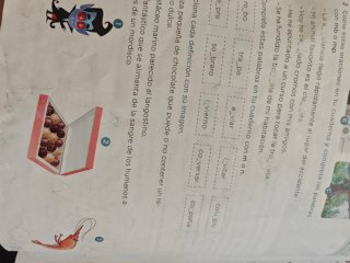 Lengua 3 Primaria : Operación Mundo