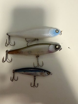 3 señuelos de pesca paseantes