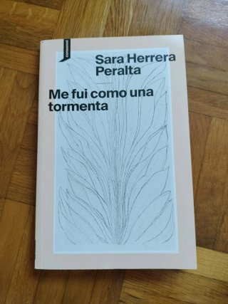 Me fui como una tormenta