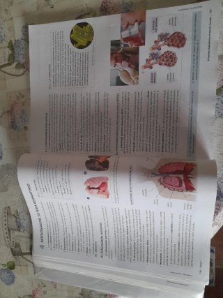 Libro anatomia aplicada 1° bachillerato salud