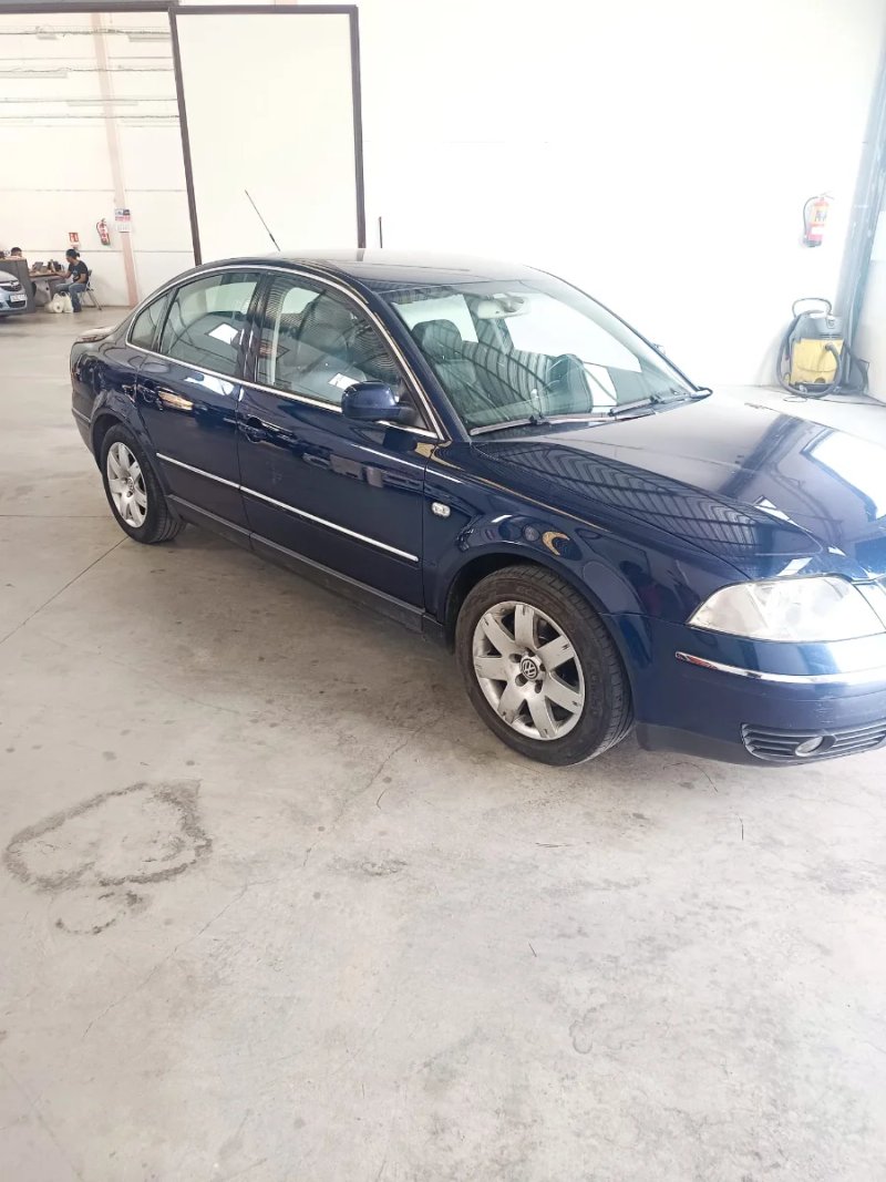Volkswagen Passat 2003, foto 2