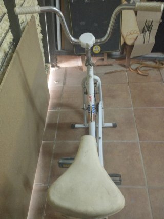 Bicicleta Estática BH Antigua