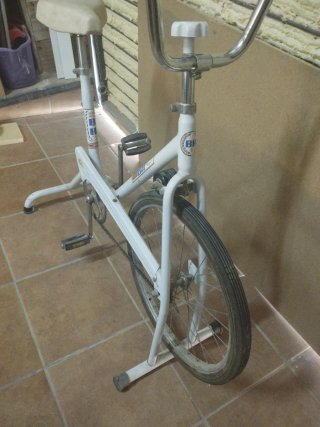 Bicicleta Estática BH Antigua