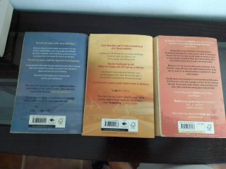 Lote 10libros Lee Child