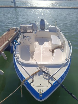 Barco open Felcon Delfin 460