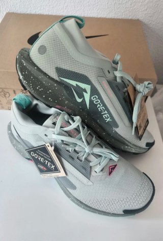 Nike Pegasus Trail 5 GTX Gore-Tex Gris/Verde