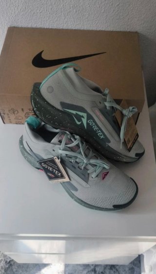 Nike Pegasus Trail 5 GTX Gore-Tex Gris/Verde