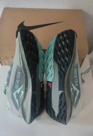 Nike Pegasus Trail 5 GTX Gore-Tex Gris/Verde