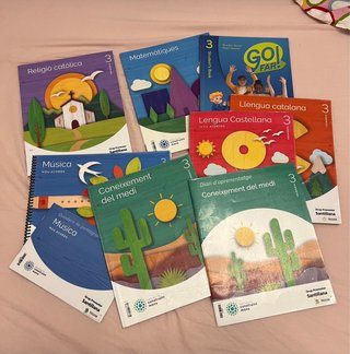 Lote libros 3 primaria Santillana