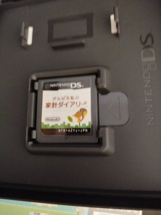 Lote 6 juegos Nintendo DS Mi Diario de Hogar