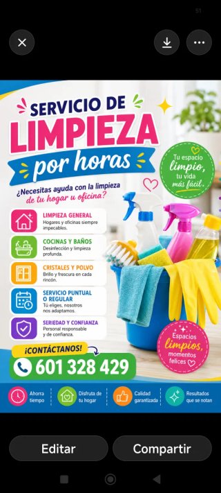 Trabajo de limpieza