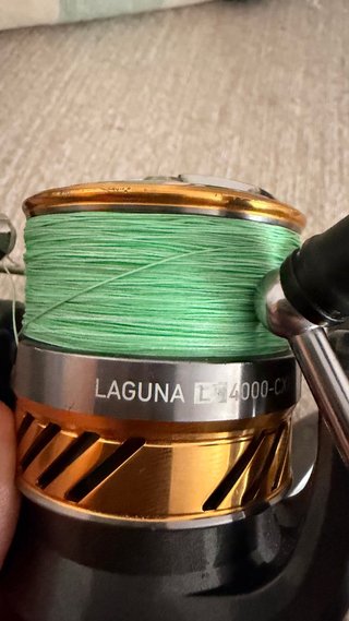 Caña Spinning Daiwa Exceler 802MFS