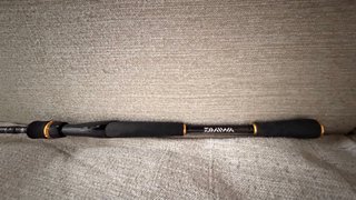 Caña Spinning Daiwa Exceler 802MFS