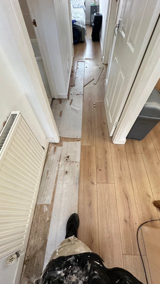 Servicios de Pintura Profesional e Carpintaria