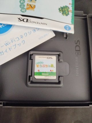 Animal Crossing: Wild World per Nintendo DS