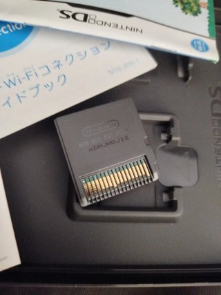 Animal Crossing: Wild World per Nintendo DS