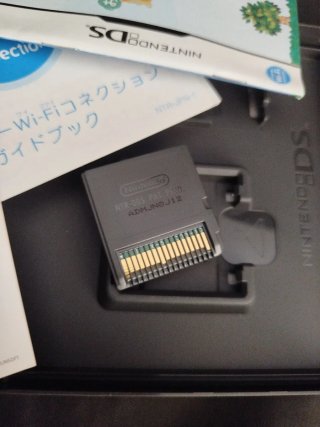 Animal Crossing: Wild World per Nintendo DS