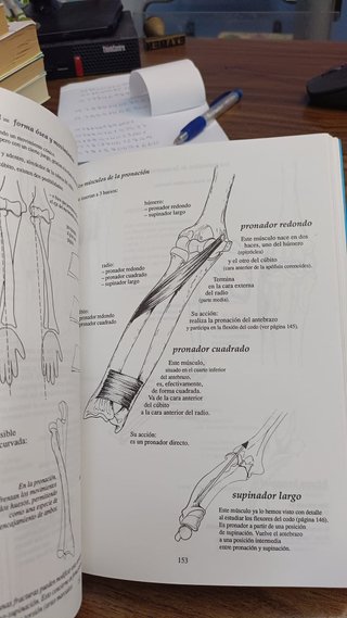 ANATOMIA PARA EL MOVIMIENTO TOMO 1