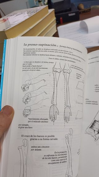 ANATOMIA PARA EL MOVIMIENTO TOMO 1