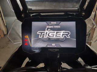 TRIUMPH TIGER 900 RALLY PRO 2022