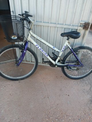 Bicicleta Florida P910 Cadete
