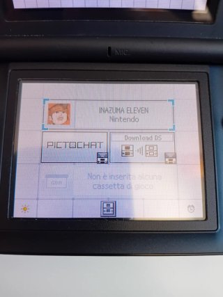 Lotto giochi Nintendo DS