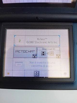 Lotto giochi Nintendo DS