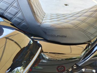 Harley Davidson Street Glide Special.