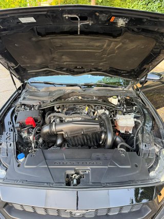Ford Mustang 2024 Ecoboost HPP 17000km