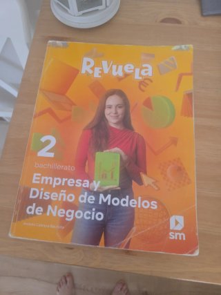 Empresas y diseño de modelos de negocio 2 bachi...