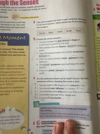 Burlington Avanced Options Student's Book : B1+