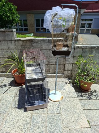 3 Jaulas para Pájaros