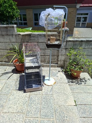 3 Jaulas para Pájaros