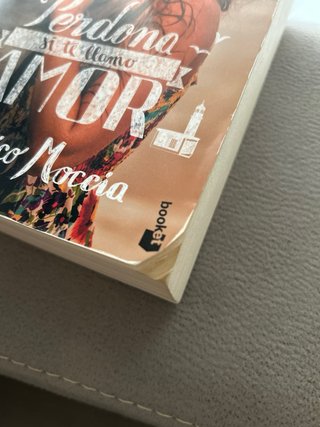 Perdona si te llamo amor