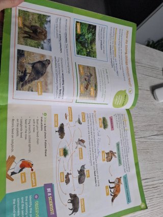 NATURAL SCIENCE 3 PRIMARY STUDENT'S BOOK WORLD ...