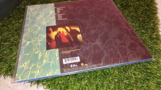 DISCO NEVERM8ND DE NIRVANA.2A OPORTUNITAT.