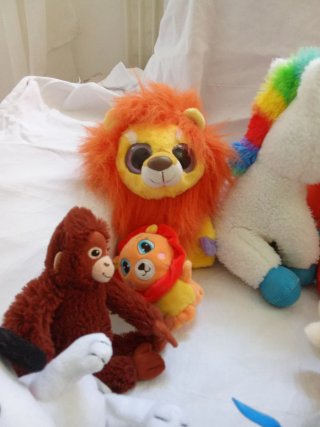 Lotto 12 Pupazzi Peluche
