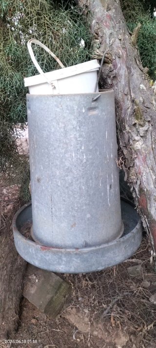Tolva para gallinas de metal