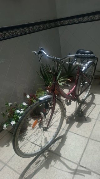 Bicicleta Paseo BH Bolero
