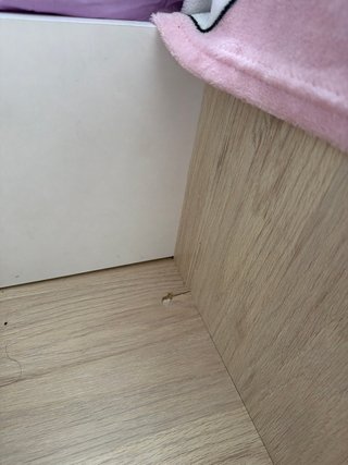 Cama 90x190 con escritorio y estante
