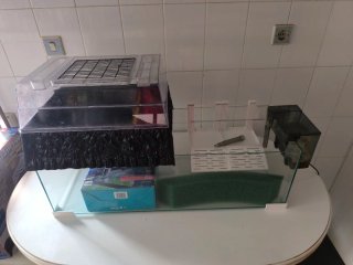 Tortuguero completo con accesorios
