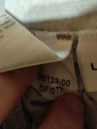Camiseta manga larga Lacoste gris